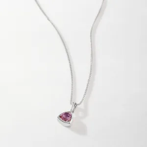 Amethyst February Birthstone Necklace - Silver