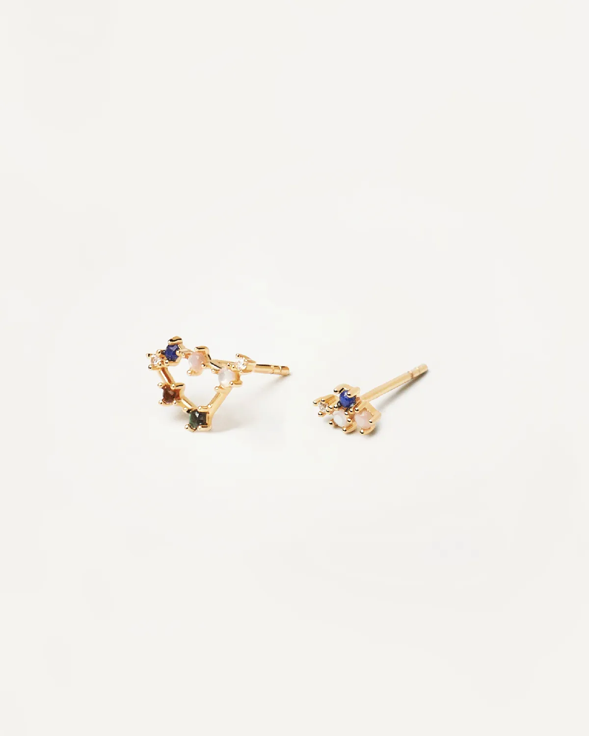 Capricorn Earrings