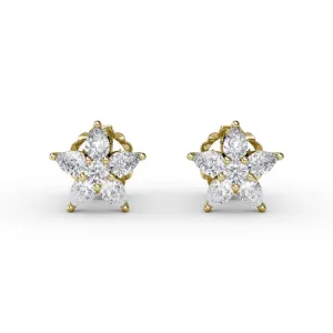 Shine Bright Diamond Star Stud Earrings